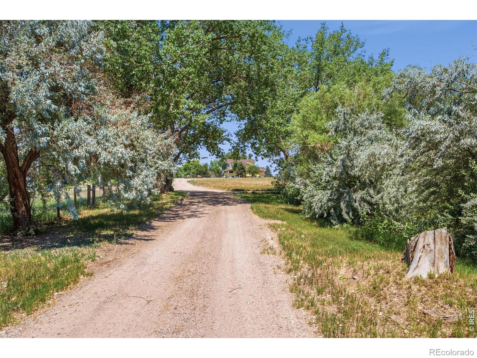 MLS Image #8 for 6291  county road 20 ,longmont, Colorado