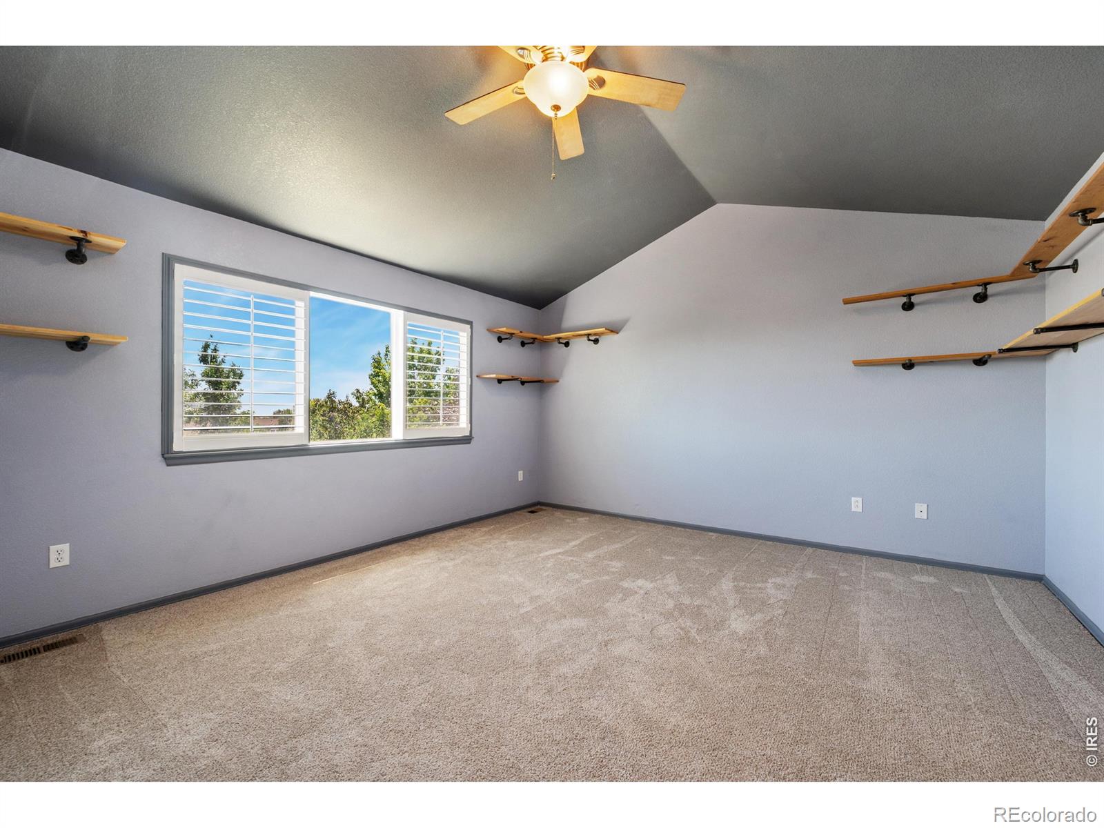 MLS Image #12 for 7356  new raymer court,fort collins, Colorado