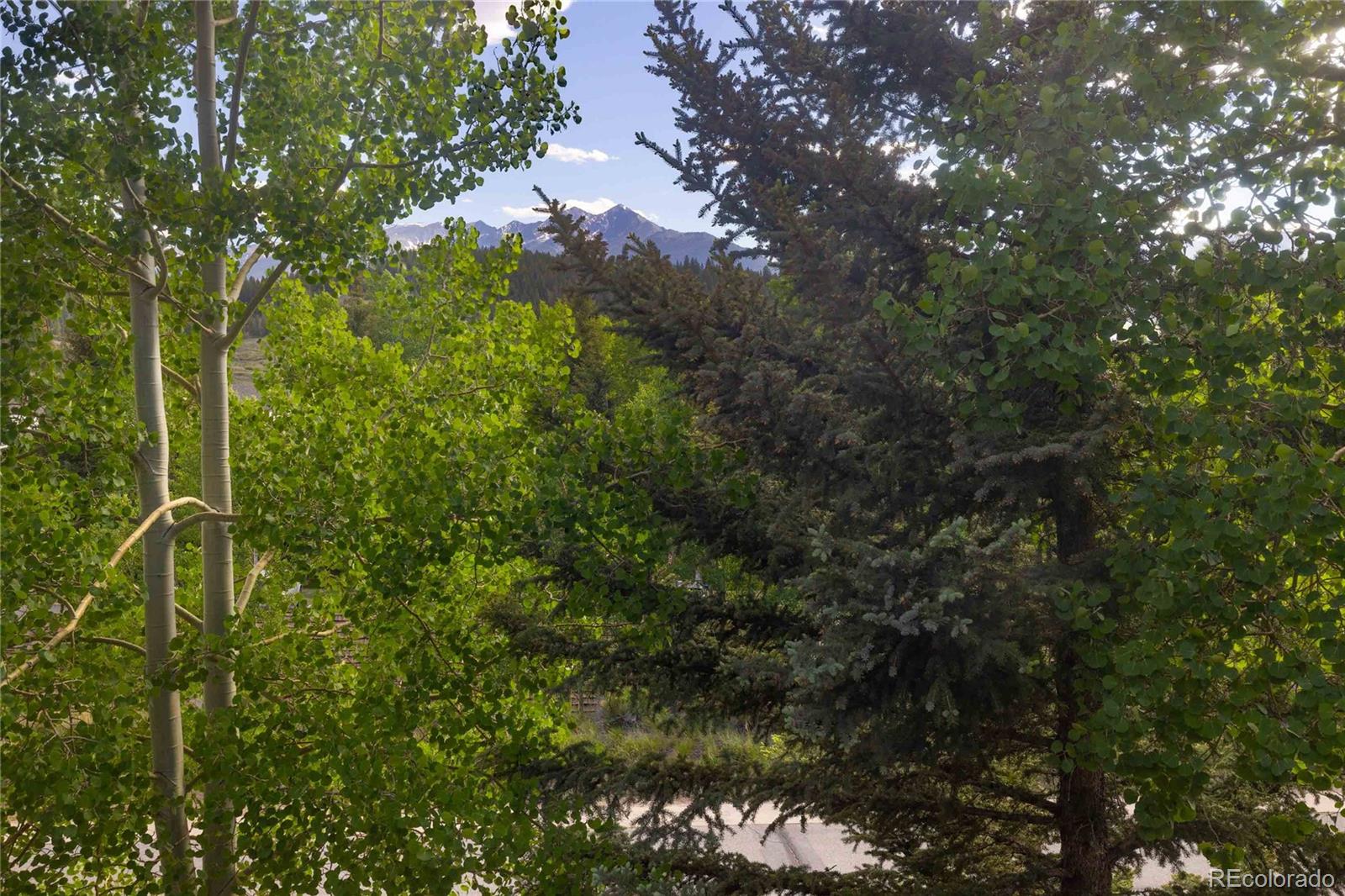 MLS Image #23 for 77  corinthian circle,dillon, Colorado