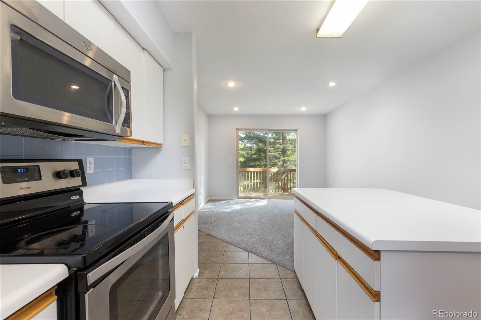 MLS Image #6 for 77  corinthian circle,dillon, Colorado