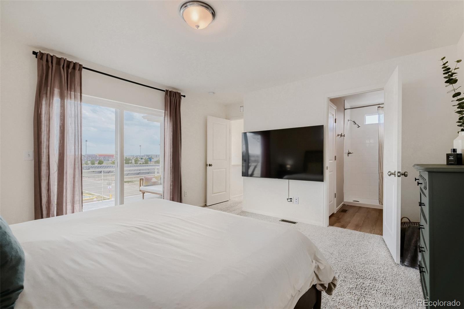 MLS Image #20 for 18057 e 51st avenue,denver, Colorado