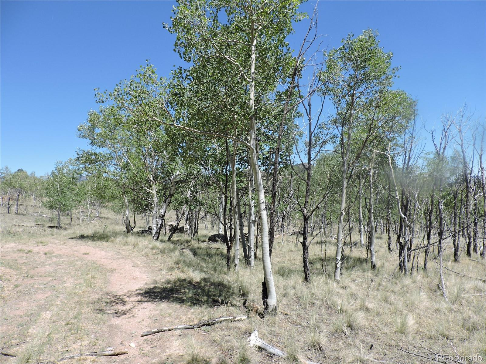 MLS Image #31 for 534  concord drive,jefferson, Colorado