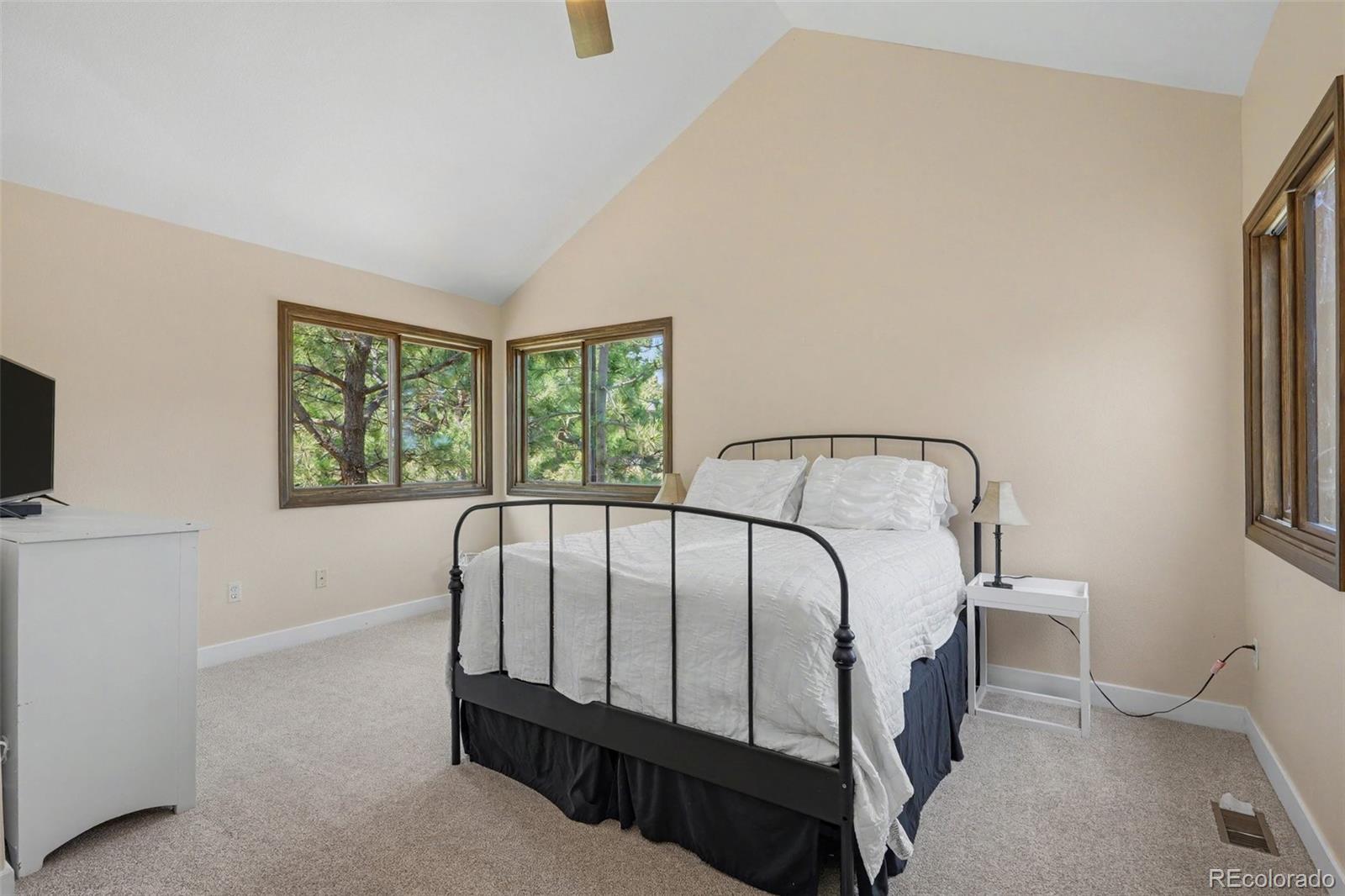 MLS Image #18 for 6227  northwoods glen drive,parker, Colorado