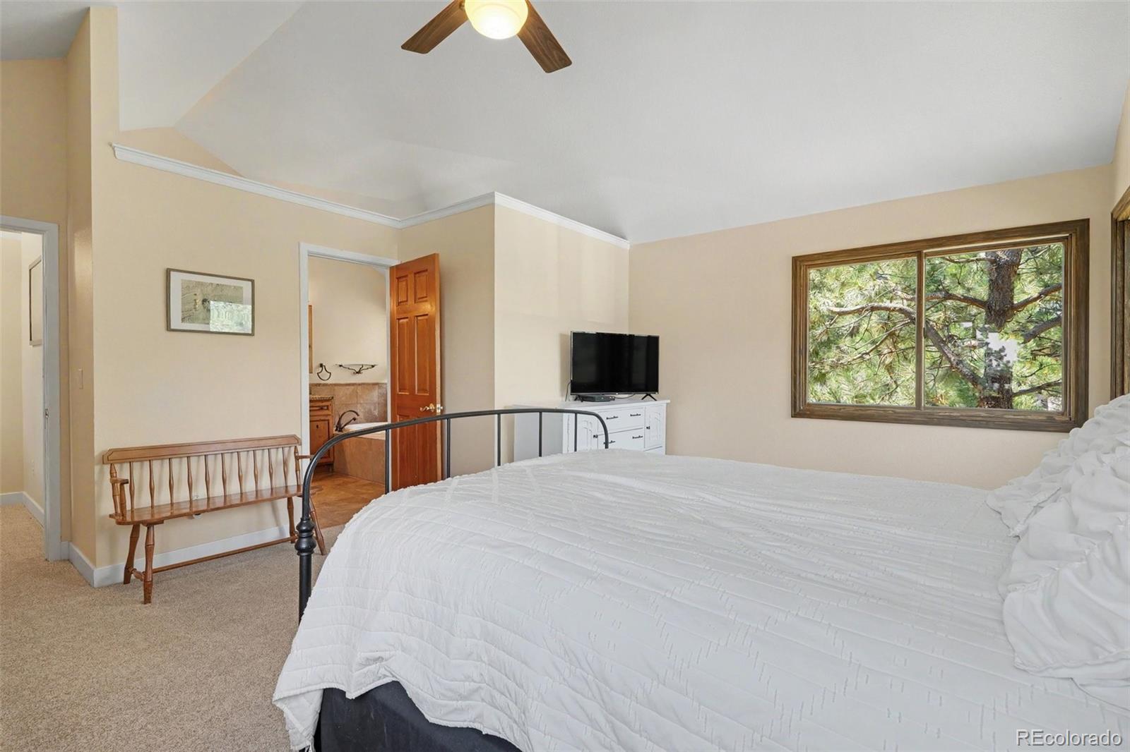 MLS Image #20 for 6227  northwoods glen drive,parker, Colorado