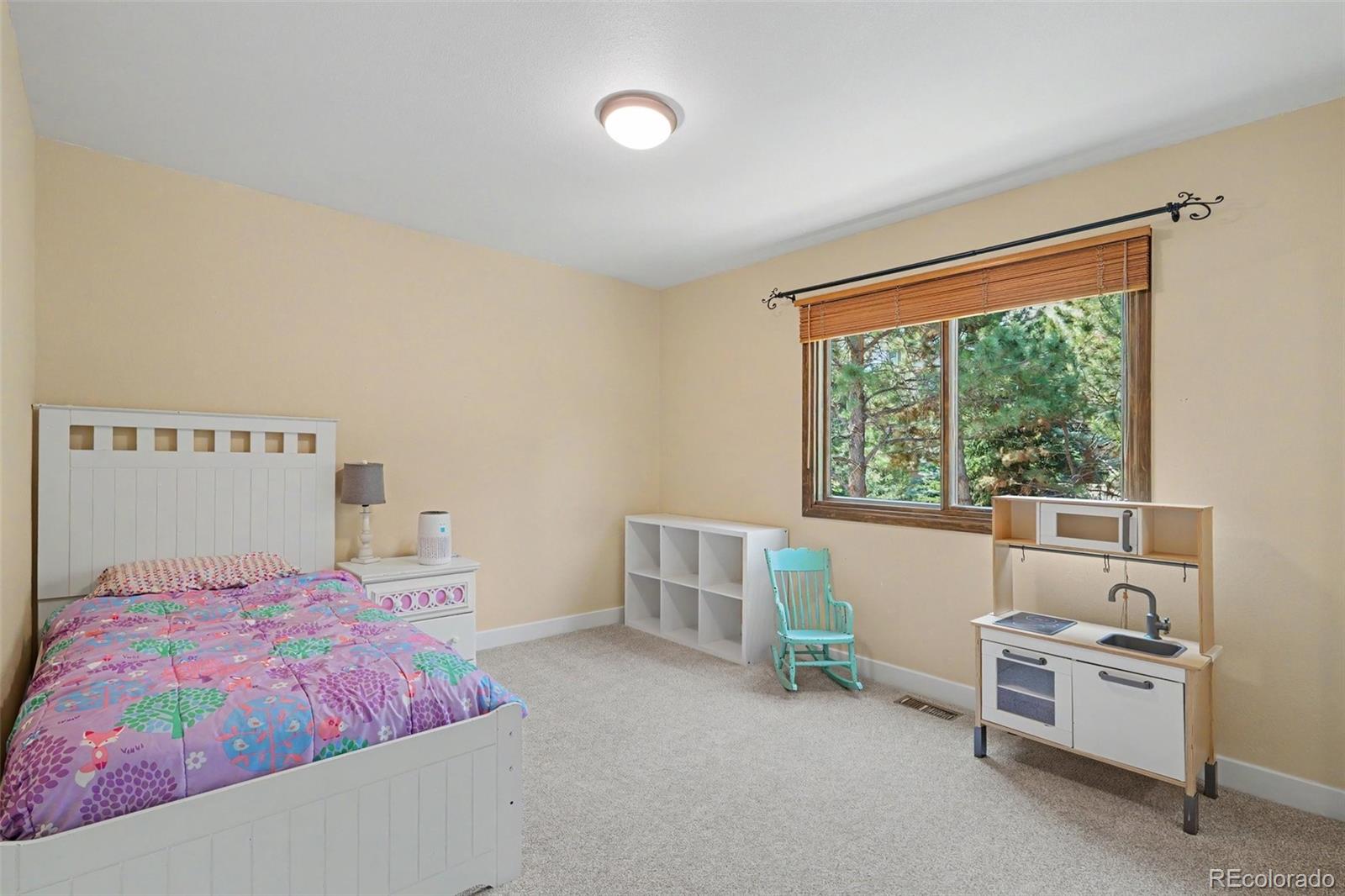 MLS Image #27 for 6227  northwoods glen drive,parker, Colorado