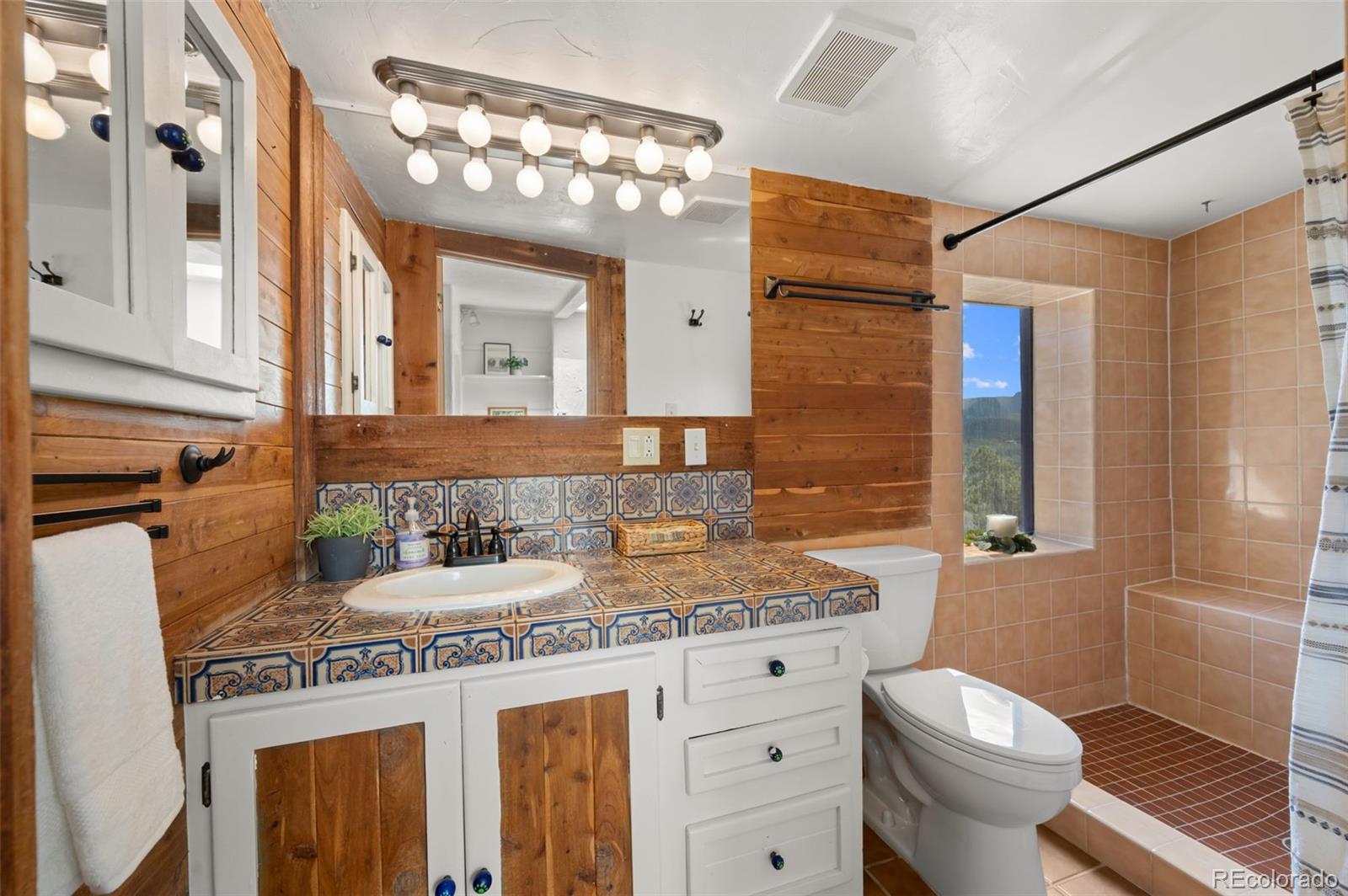 MLS Image #22 for 9149  fallen rock road,conifer, Colorado