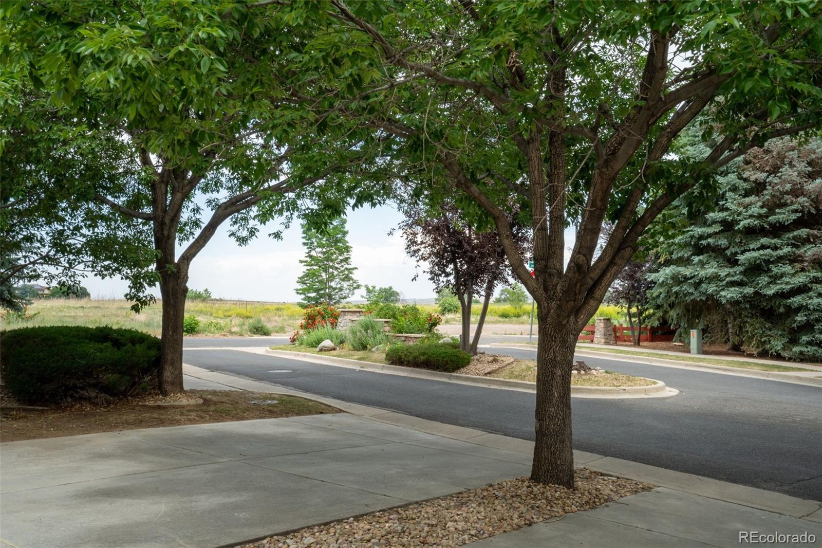 MLS Image #2 for 689  wild ridge lane,lafayette, Colorado
