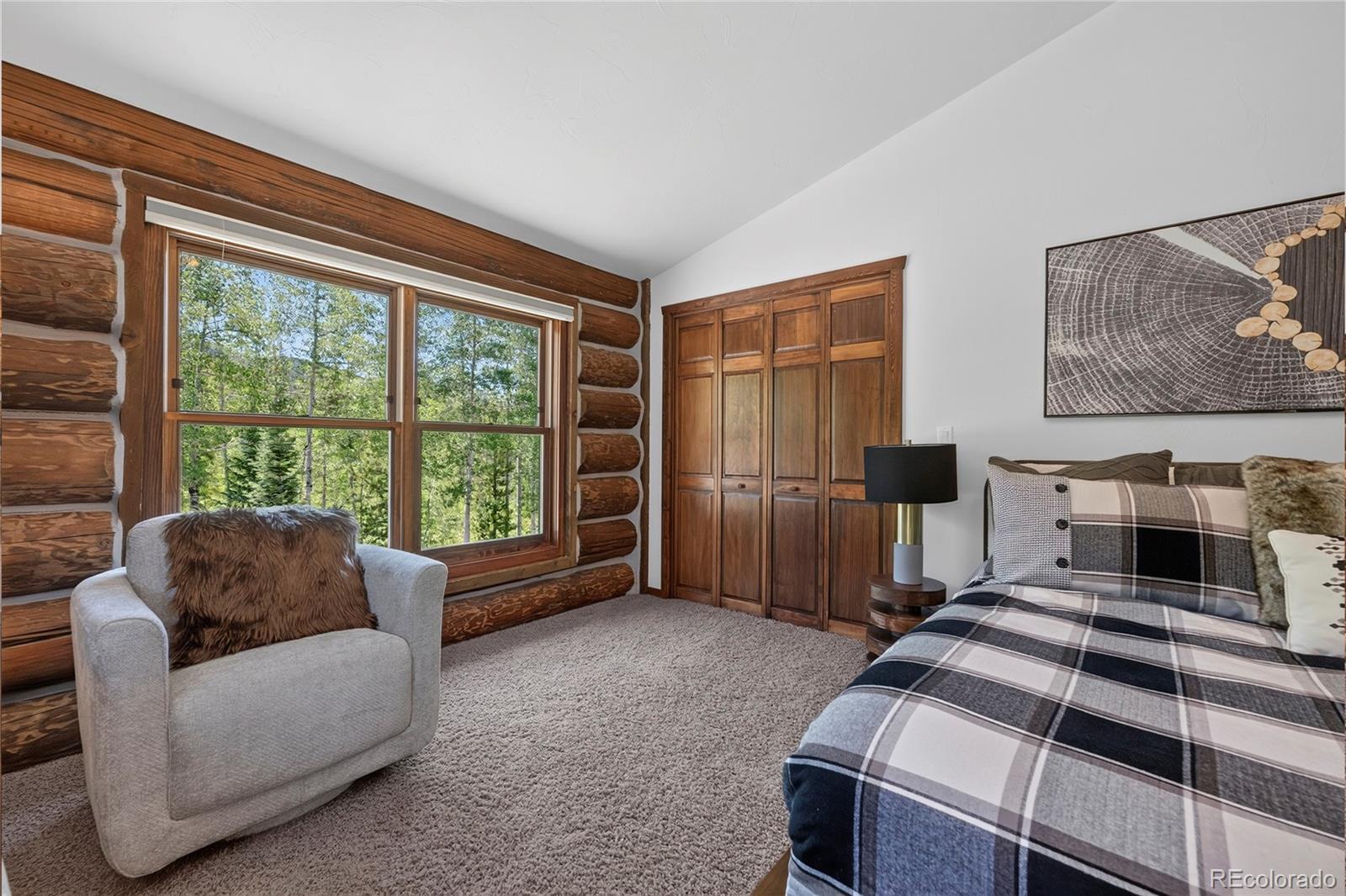 MLS Image #28 for 11  gcr 5001 ,fraser, Colorado