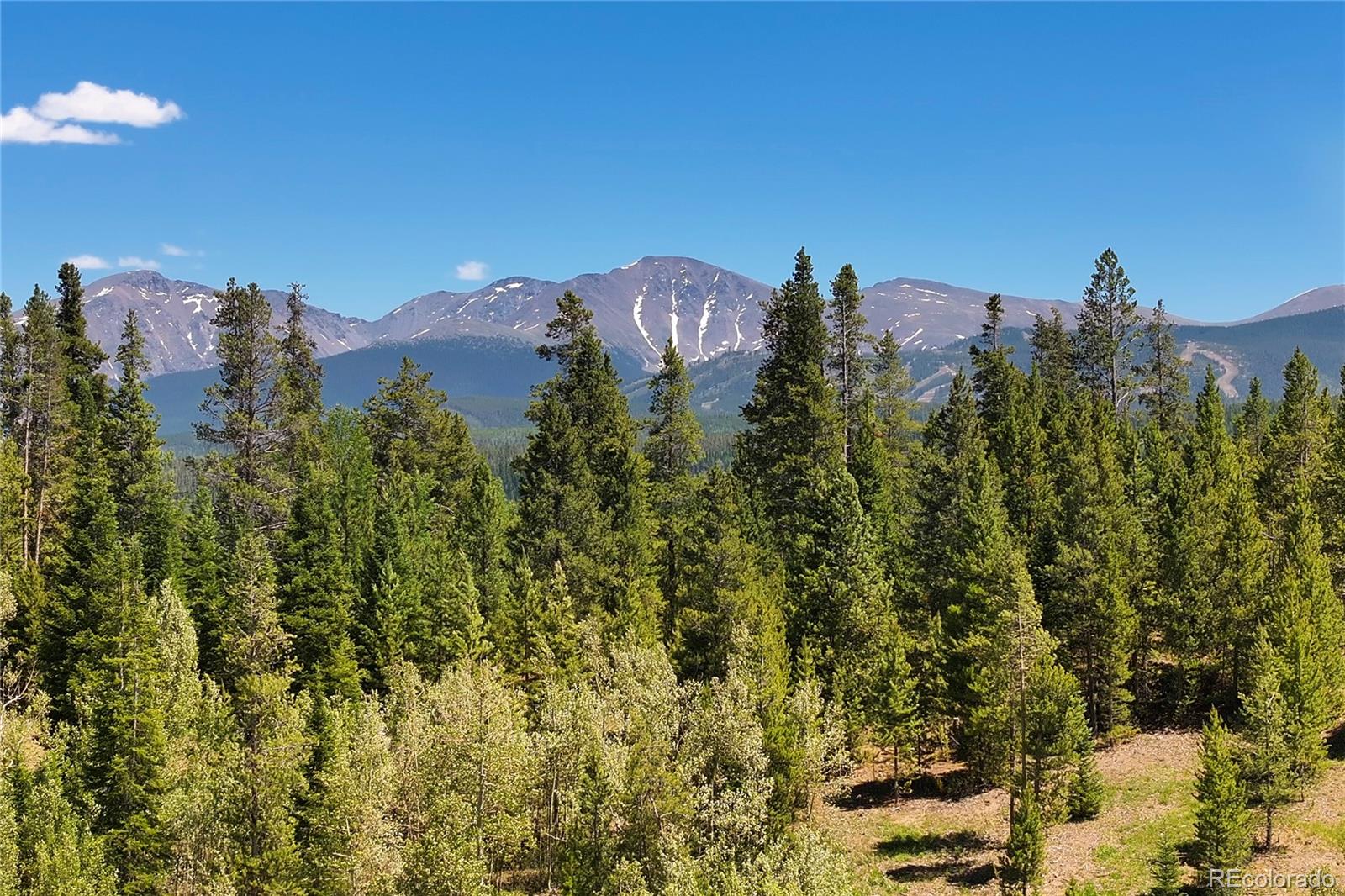 MLS Image #49 for 11  gcr 5001 ,fraser, Colorado