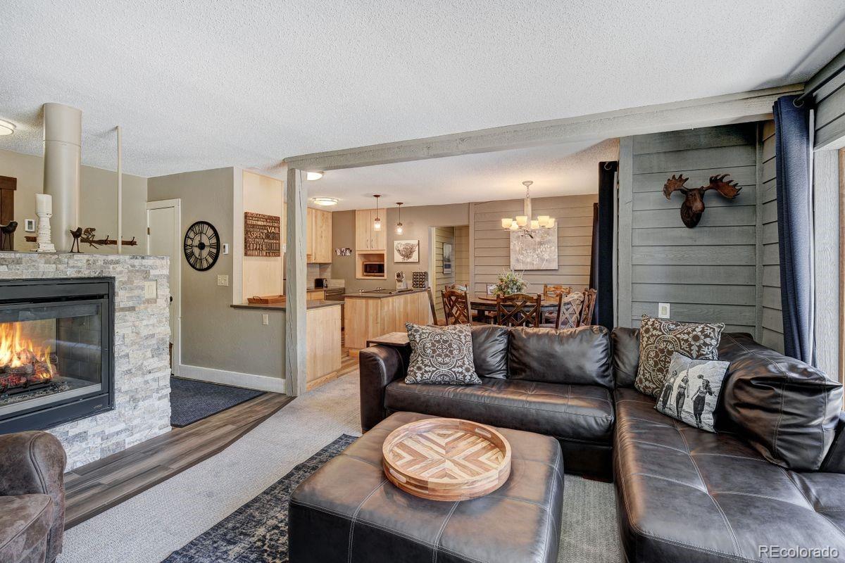 MLS Image #0 for 145  wheeler place,copper mountain, Colorado