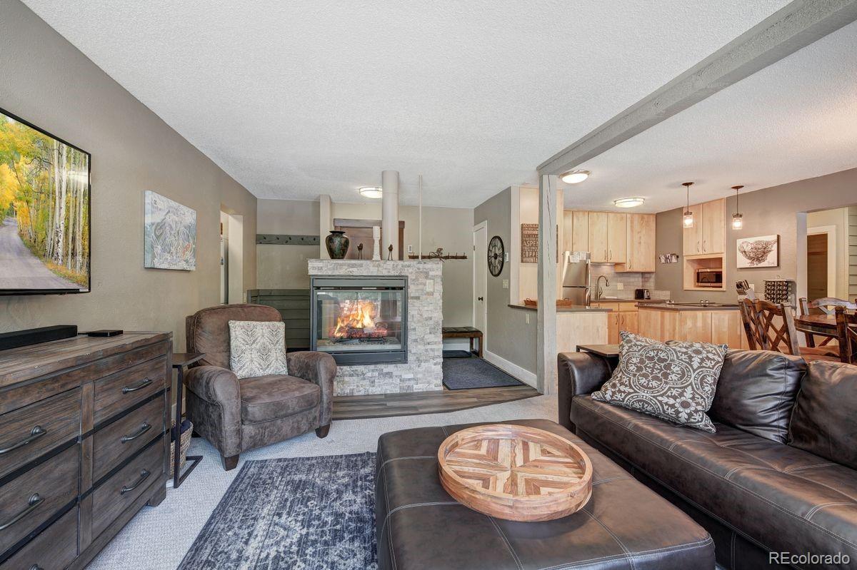 MLS Image #1 for 145  wheeler place,copper mountain, Colorado