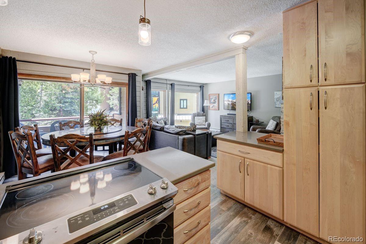 MLS Image #10 for 145  wheeler place,copper mountain, Colorado