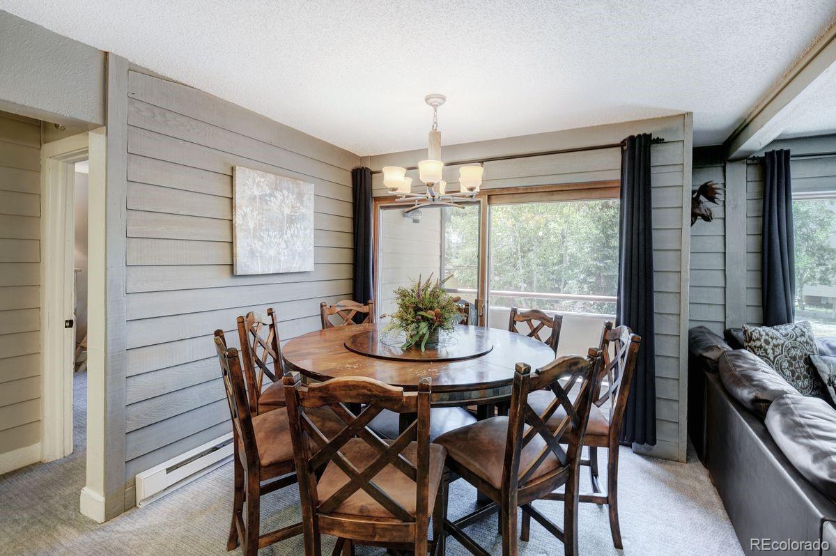 MLS Image #11 for 145  wheeler place,copper mountain, Colorado