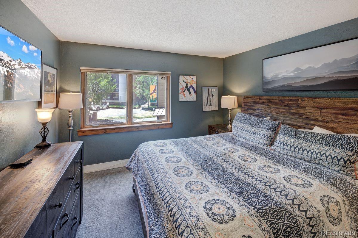 MLS Image #14 for 145  wheeler place,copper mountain, Colorado