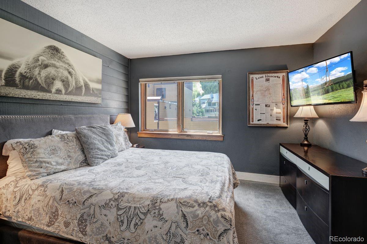 MLS Image #16 for 145  wheeler place,copper mountain, Colorado