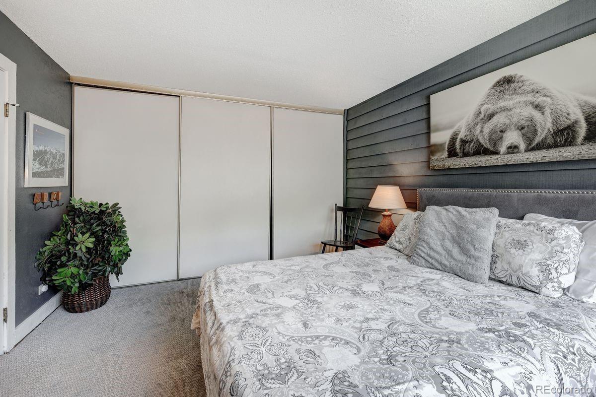 MLS Image #17 for 145  wheeler place,copper mountain, Colorado