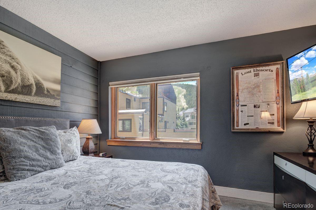 MLS Image #18 for 145  wheeler place,copper mountain, Colorado