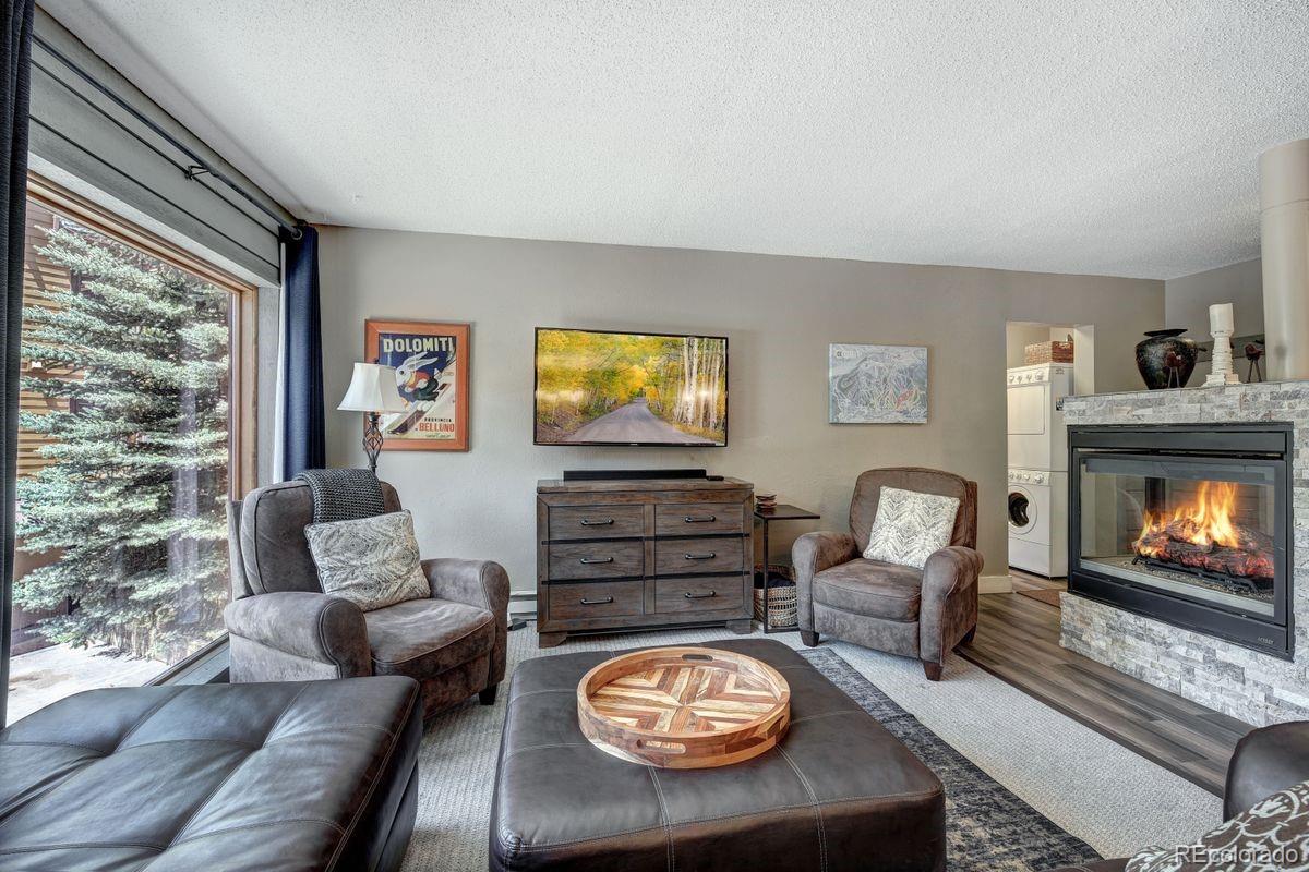 MLS Image #2 for 145  wheeler place,copper mountain, Colorado