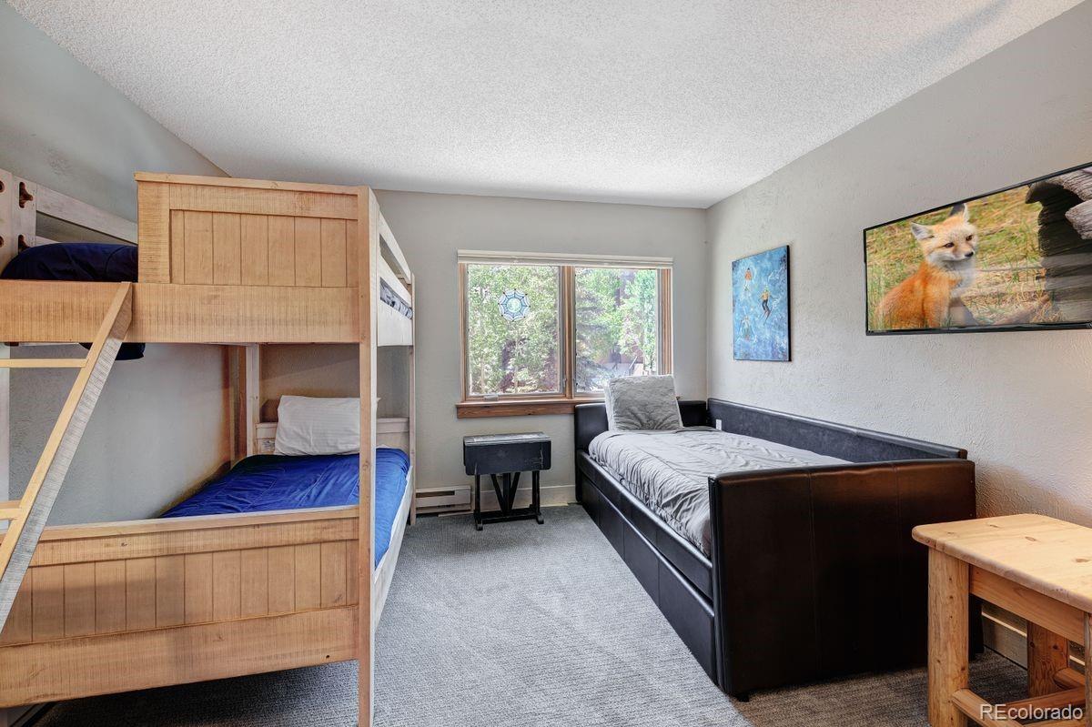 MLS Image #20 for 145  wheeler place,copper mountain, Colorado