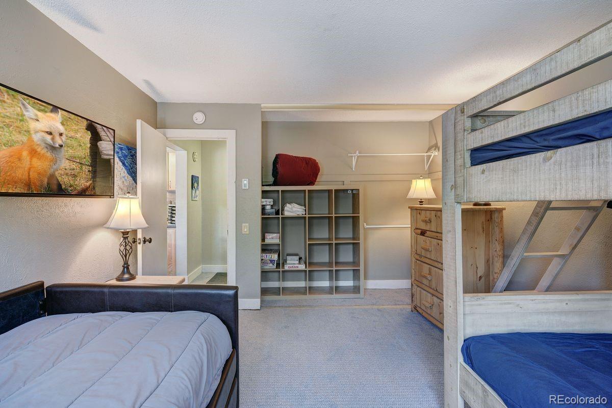 MLS Image #21 for 145  wheeler place,copper mountain, Colorado