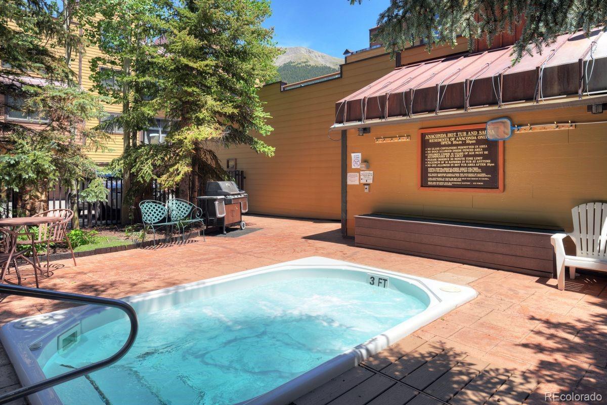 MLS Image #27 for 145  wheeler place,copper mountain, Colorado