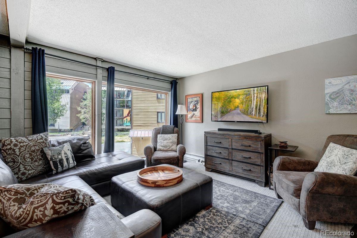MLS Image #3 for 145  wheeler place,copper mountain, Colorado