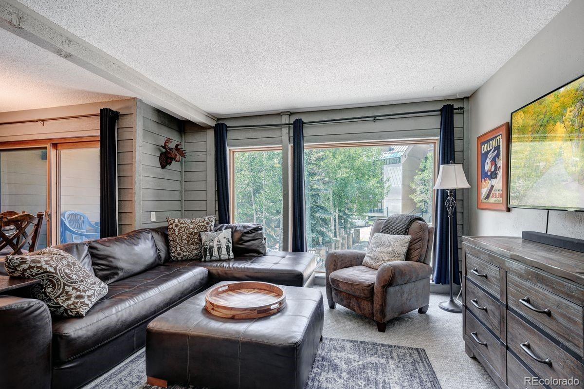 MLS Image #4 for 145  wheeler place,copper mountain, Colorado
