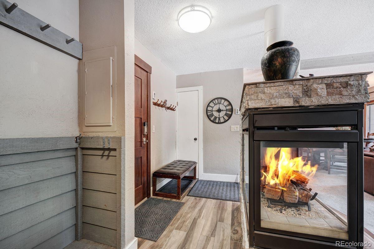 MLS Image #5 for 145  wheeler place,copper mountain, Colorado