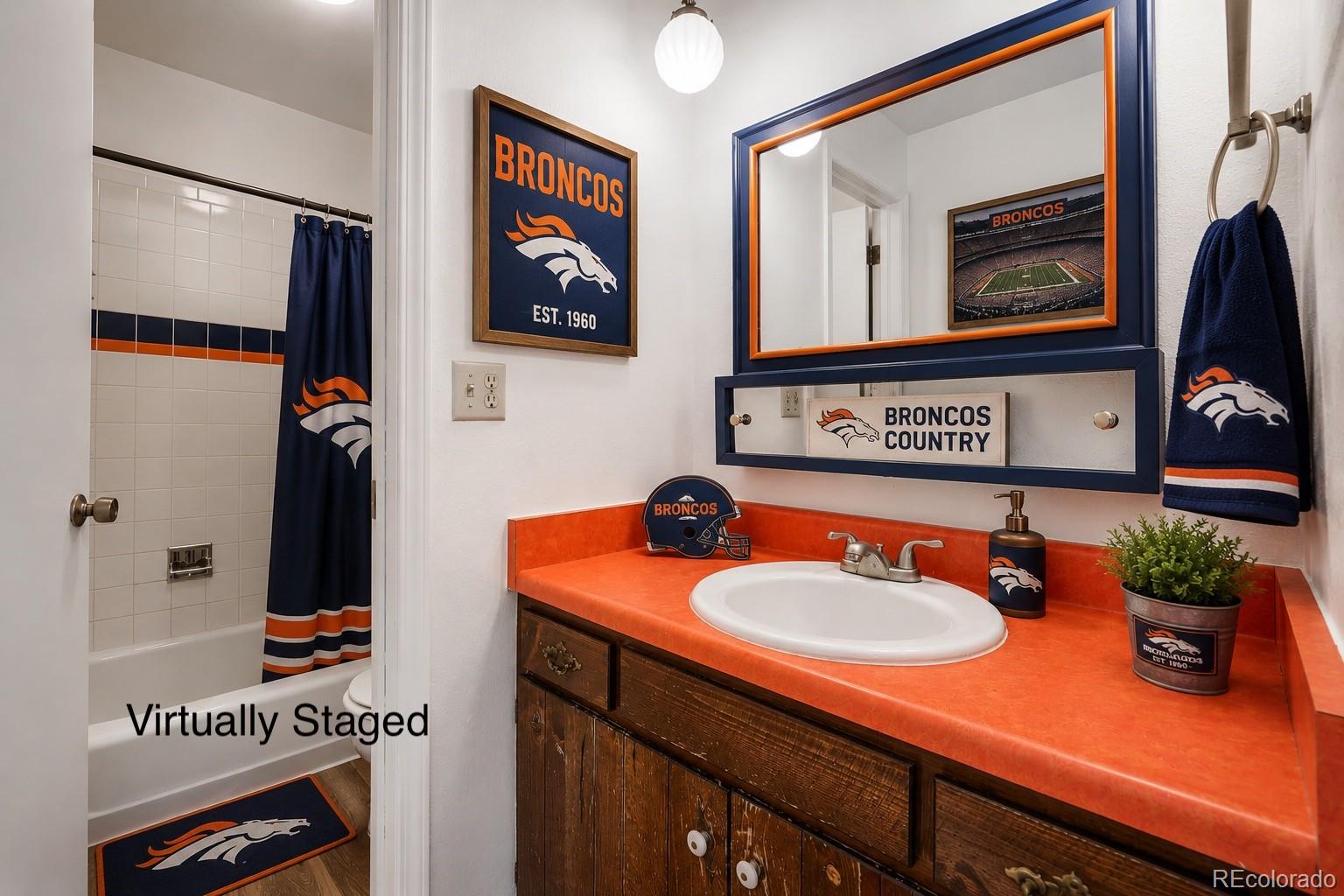MLS Image #7 for 923  straight creek drive,dillon, Colorado