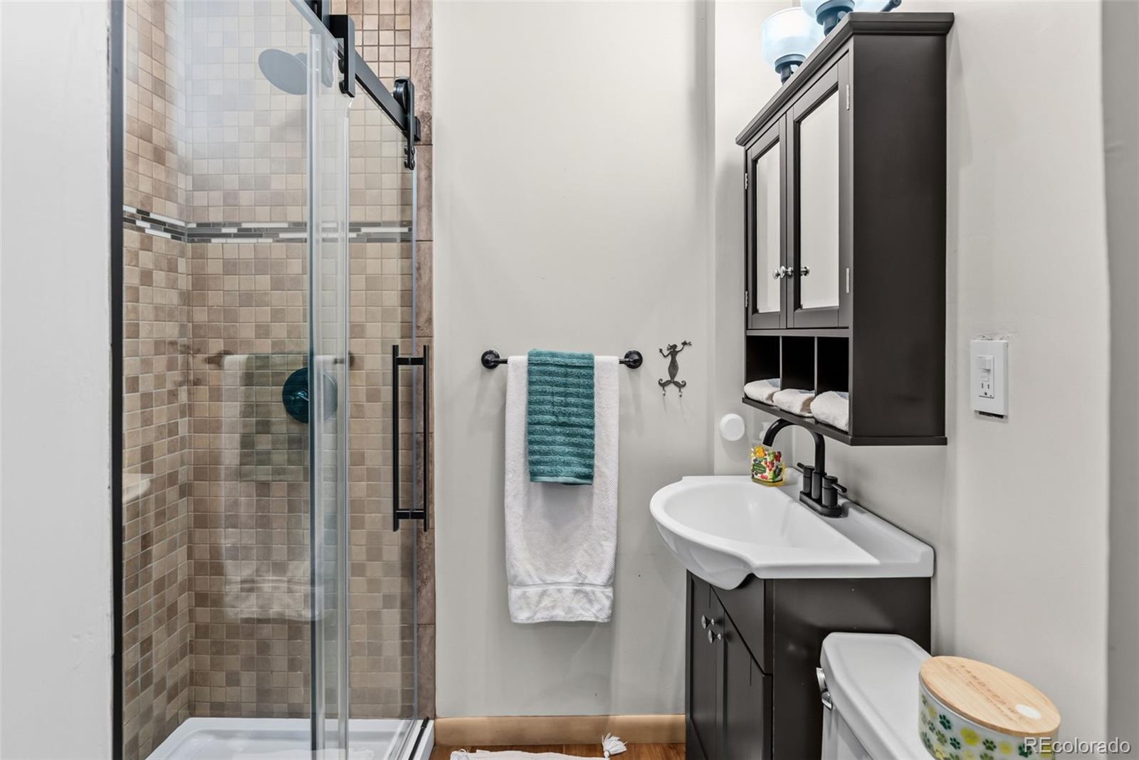 MLS Image #28 for 1148  f street,salida, Colorado