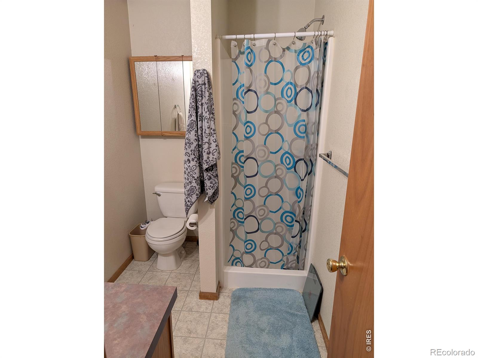 MLS Image #11 for 1171  norma court,milliken, Colorado
