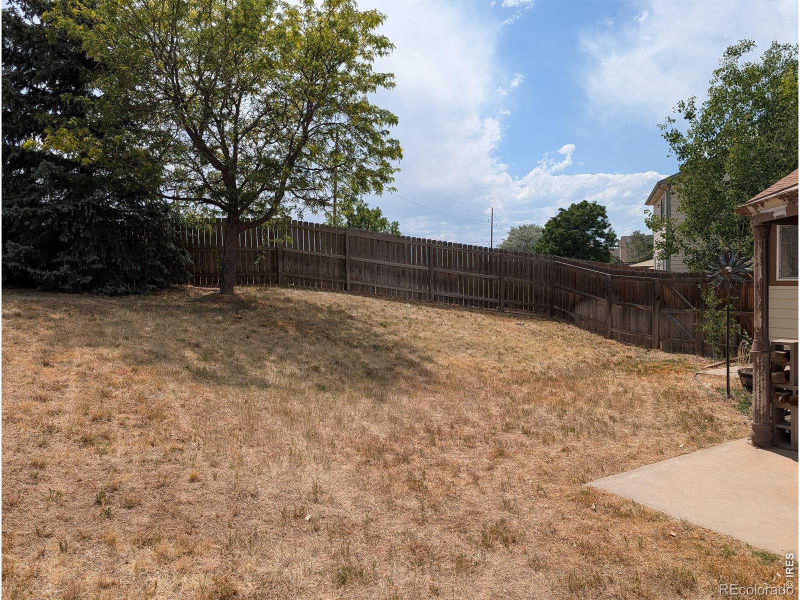 MLS Image #17 for 1171  norma court,milliken, Colorado