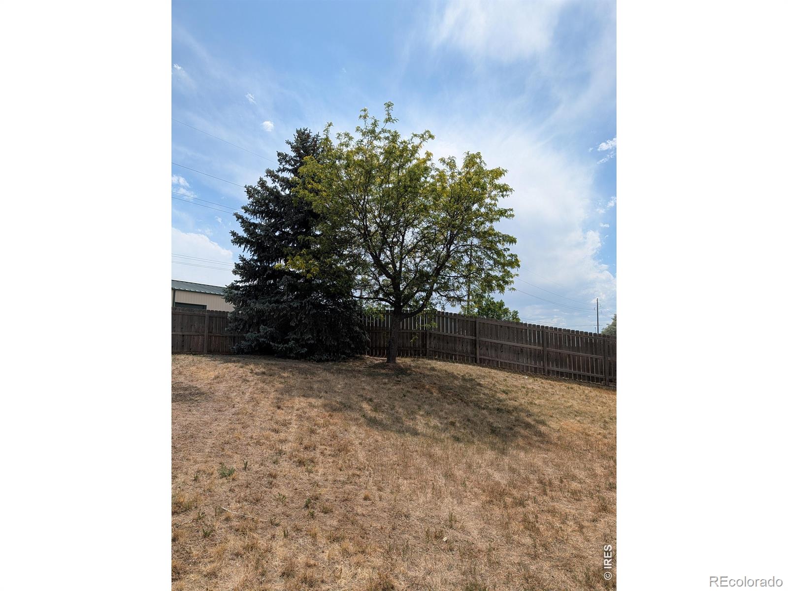 MLS Image #18 for 1171  norma court,milliken, Colorado