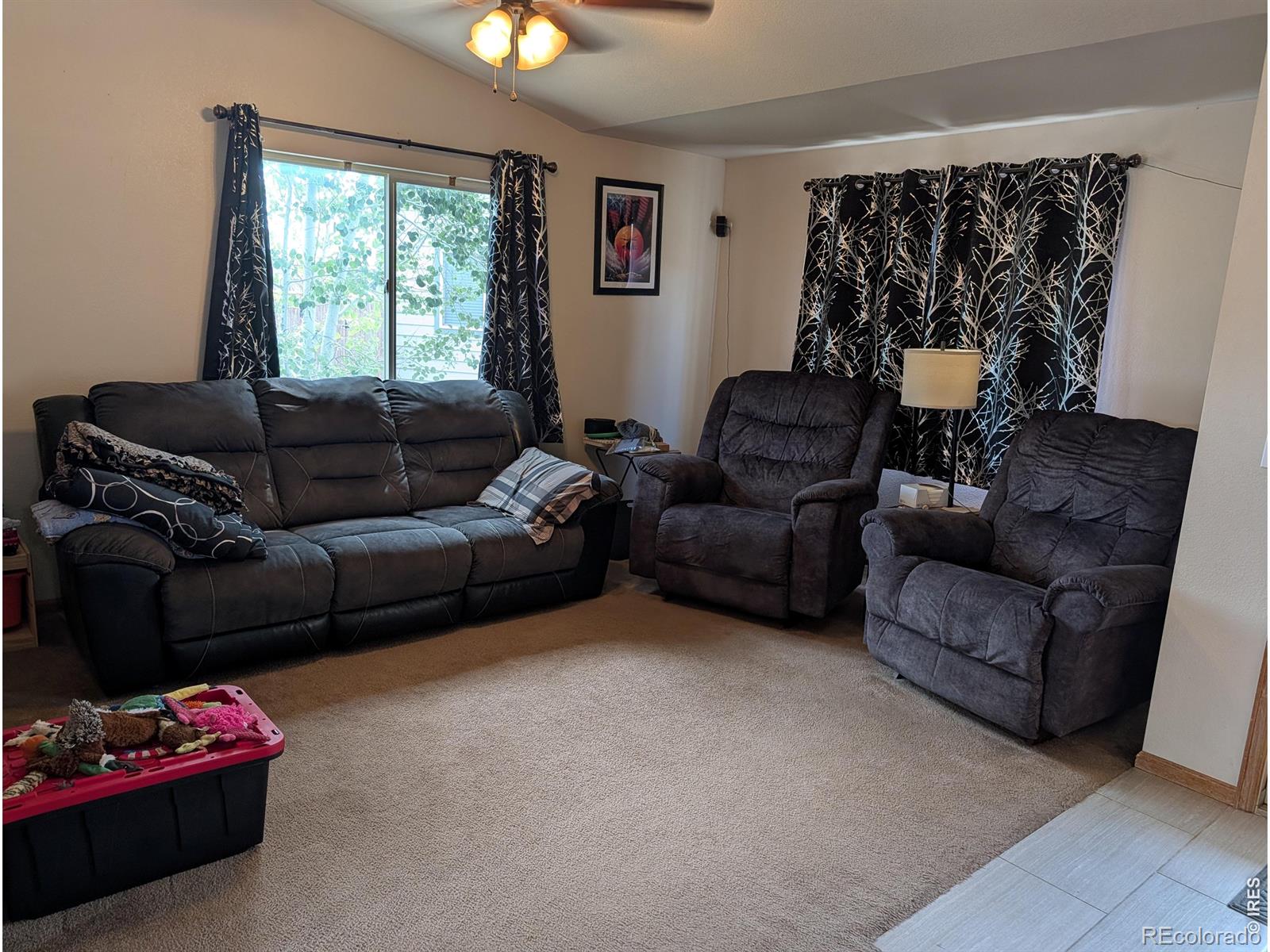 MLS Image #3 for 1171  norma court,milliken, Colorado