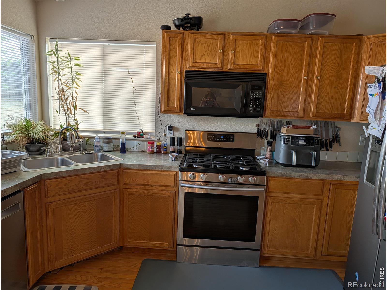 MLS Image #6 for 1171  norma court,milliken, Colorado