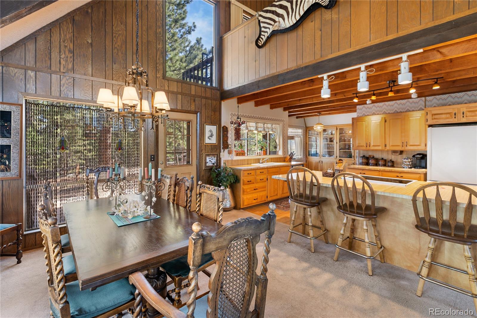 MLS Image #13 for 303  ute trail,woodland park, Colorado