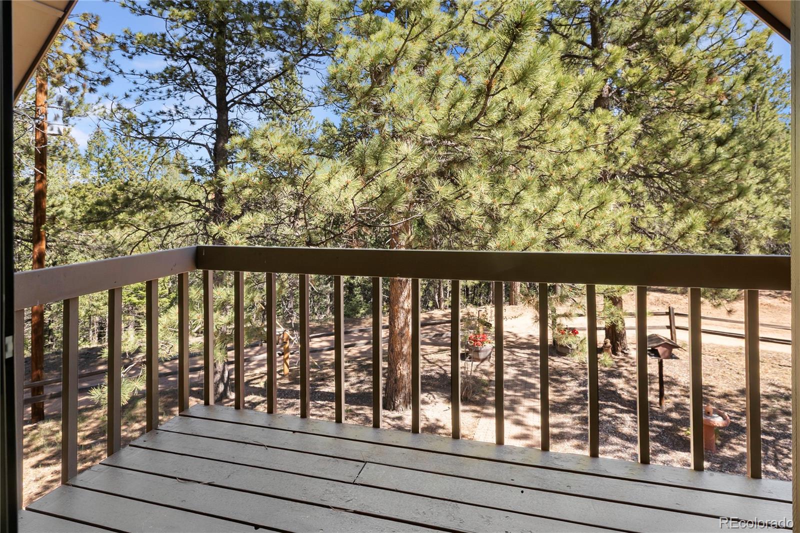 MLS Image #24 for 303  ute trail,woodland park, Colorado