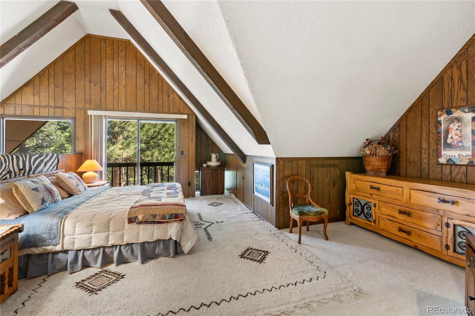 MLS Image #25 for 303  ute trail,woodland park, Colorado
