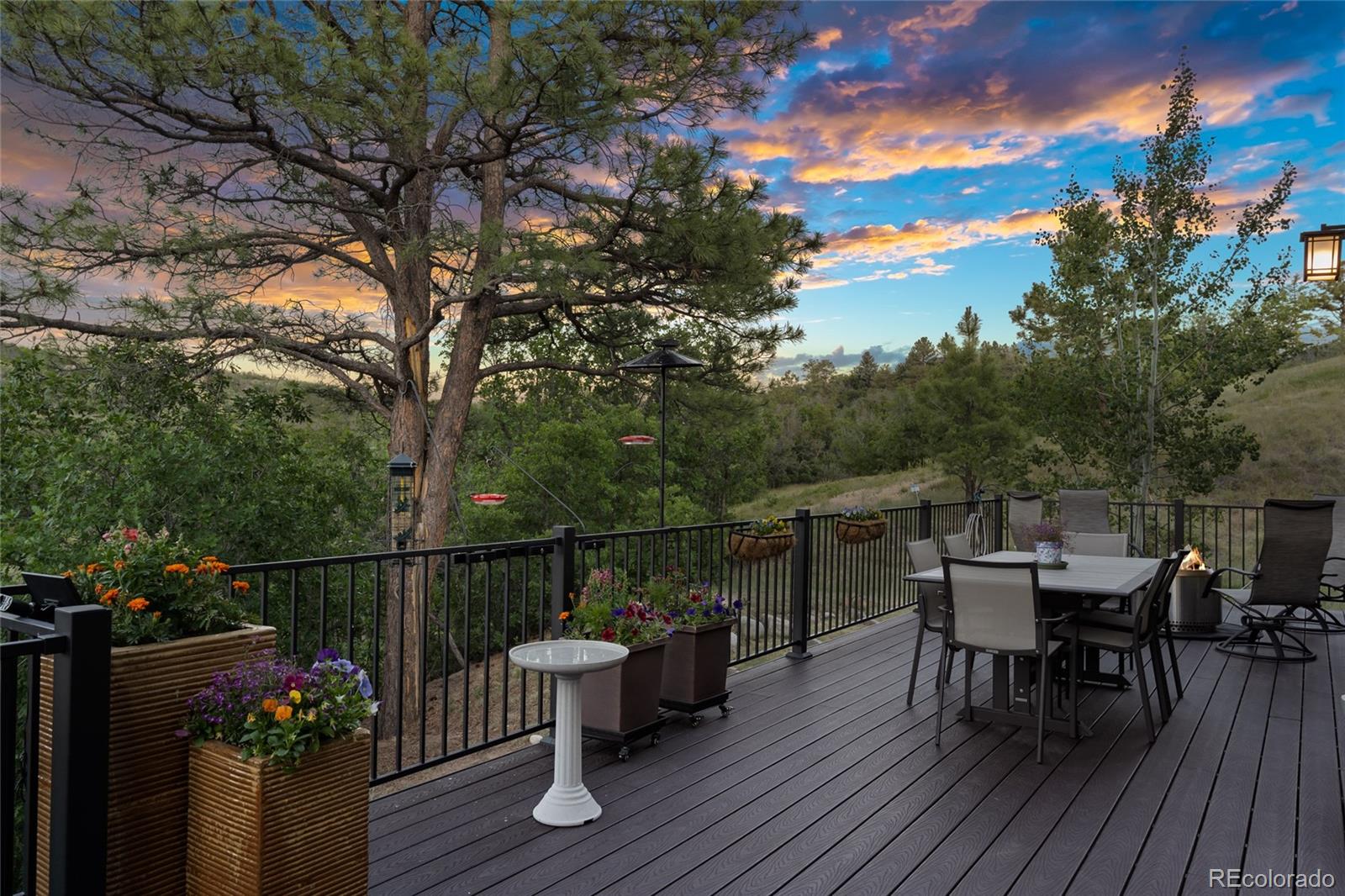 MLS Image #3 for 1394  black pine court,castle rock, Colorado
