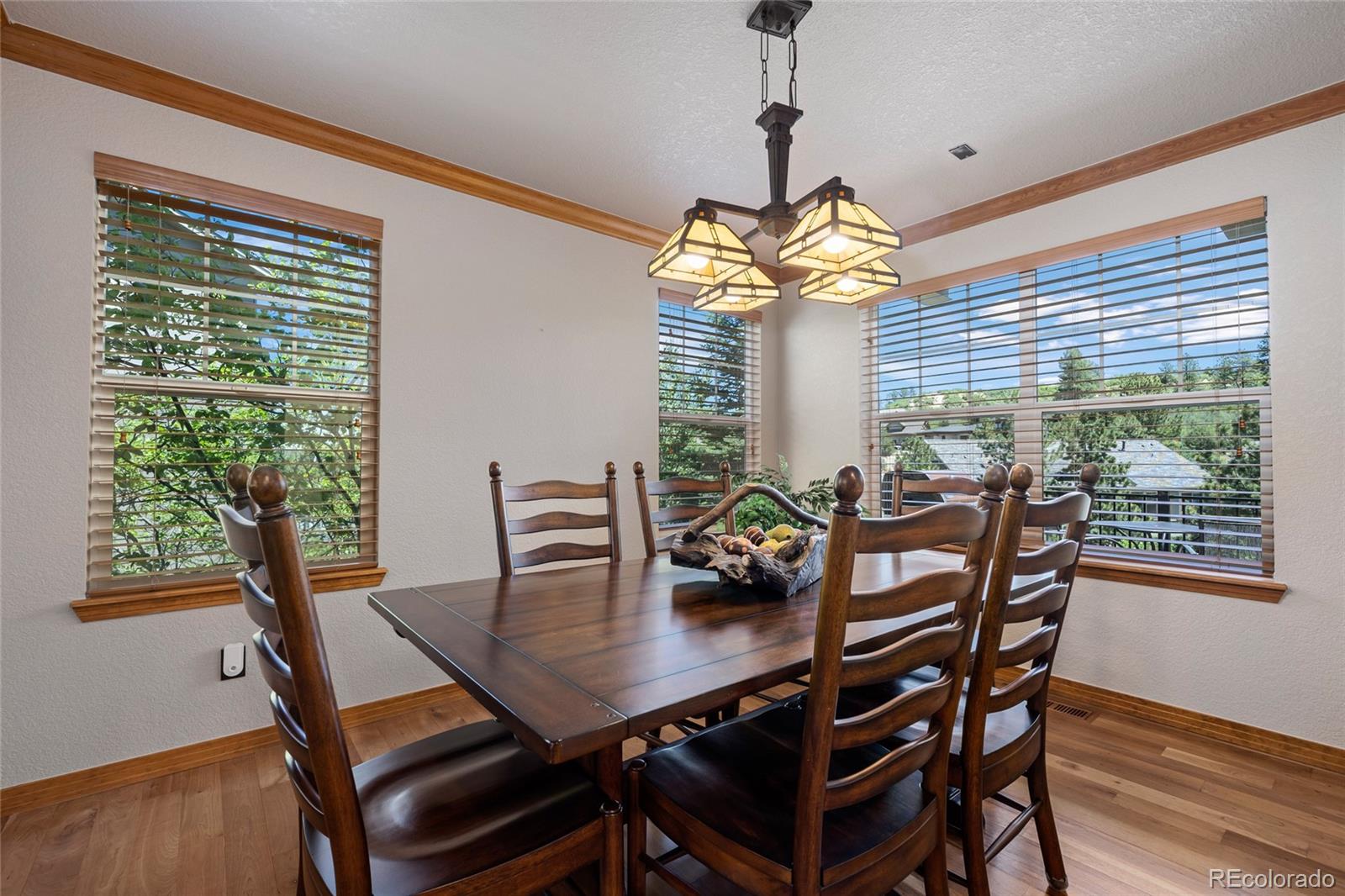 MLS Image #7 for 1394  black pine court,castle rock, Colorado