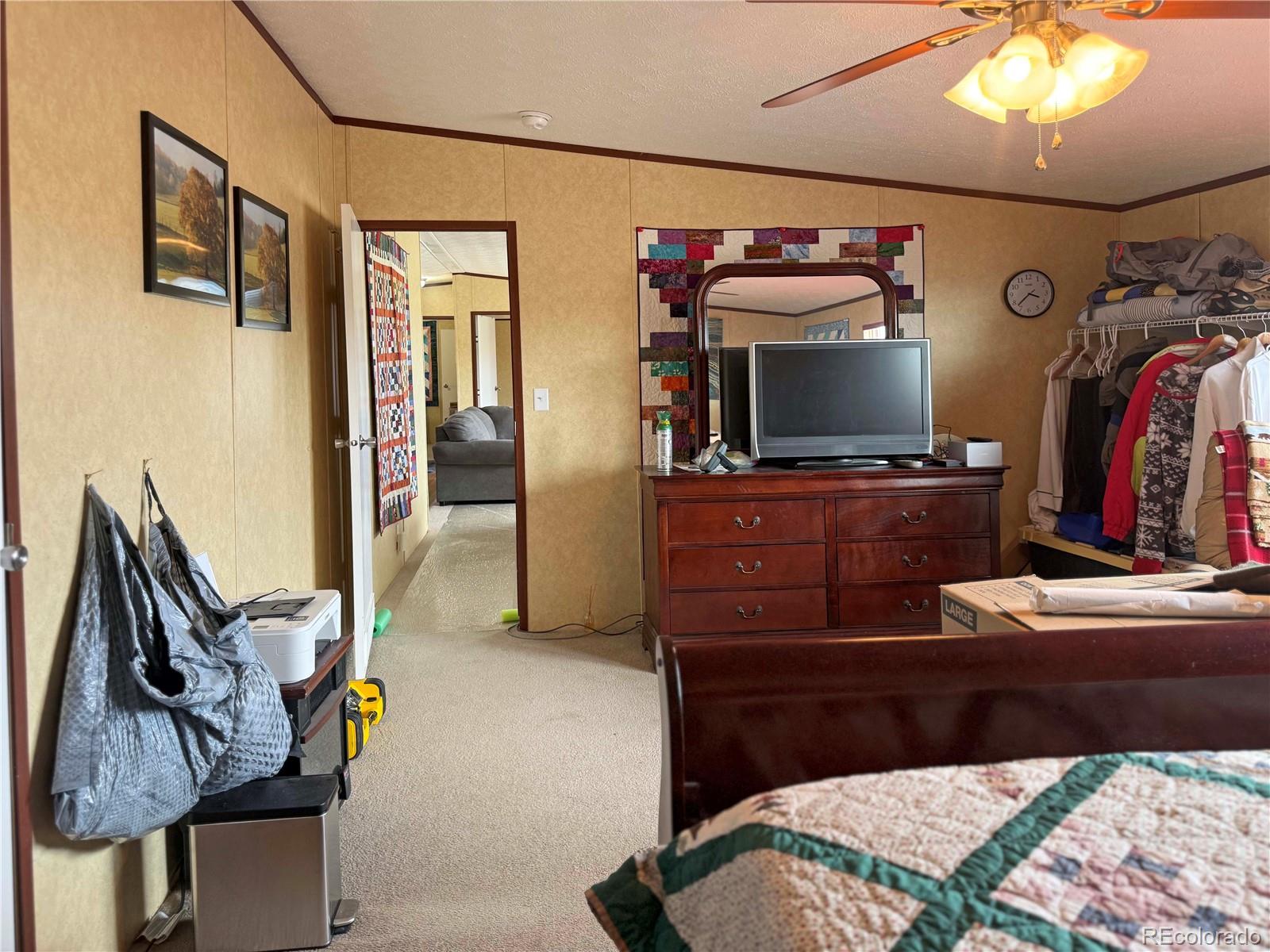 MLS Image #20 for 5252  valley view trail,san luis, Colorado