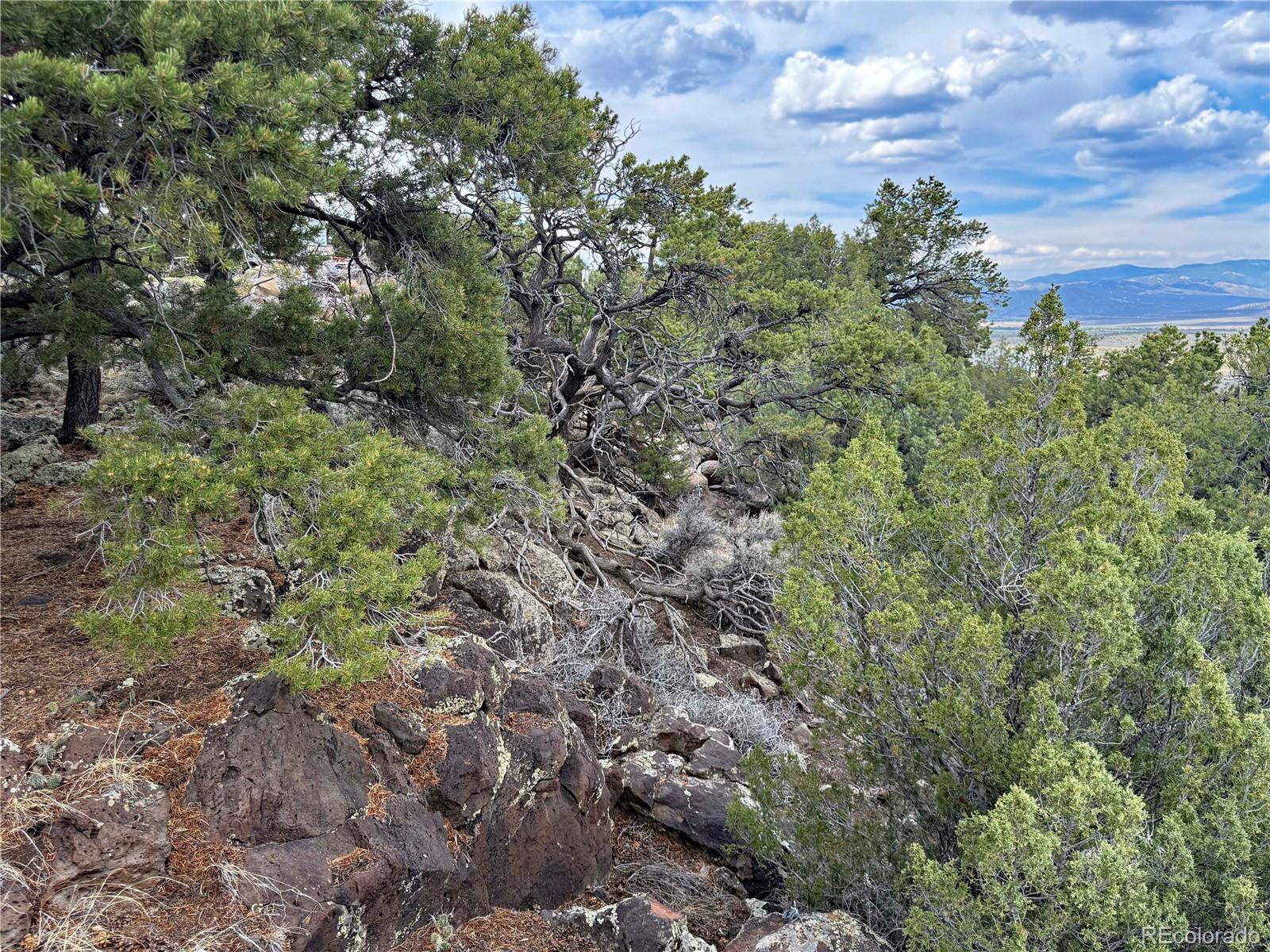 MLS Image #24 for 5252  valley view trail,san luis, Colorado