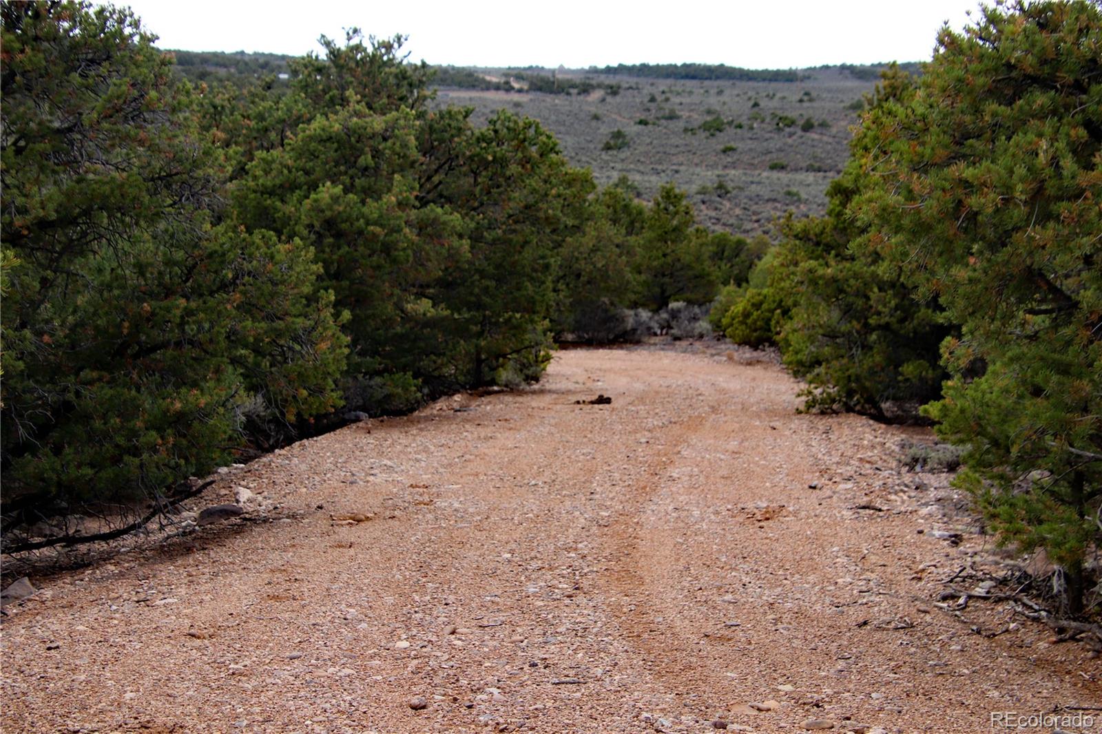 MLS Image #42 for 5252  valley view trail,san luis, Colorado