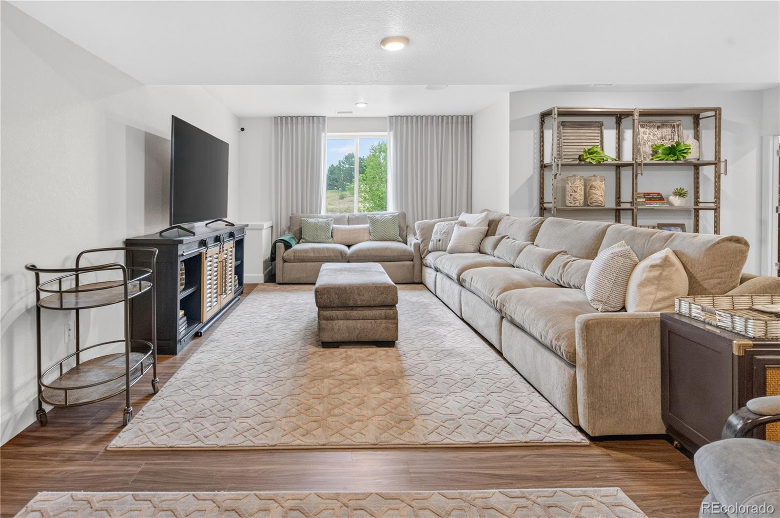 MLS Image #17 for 6845  zebra grass lane,parker, Colorado