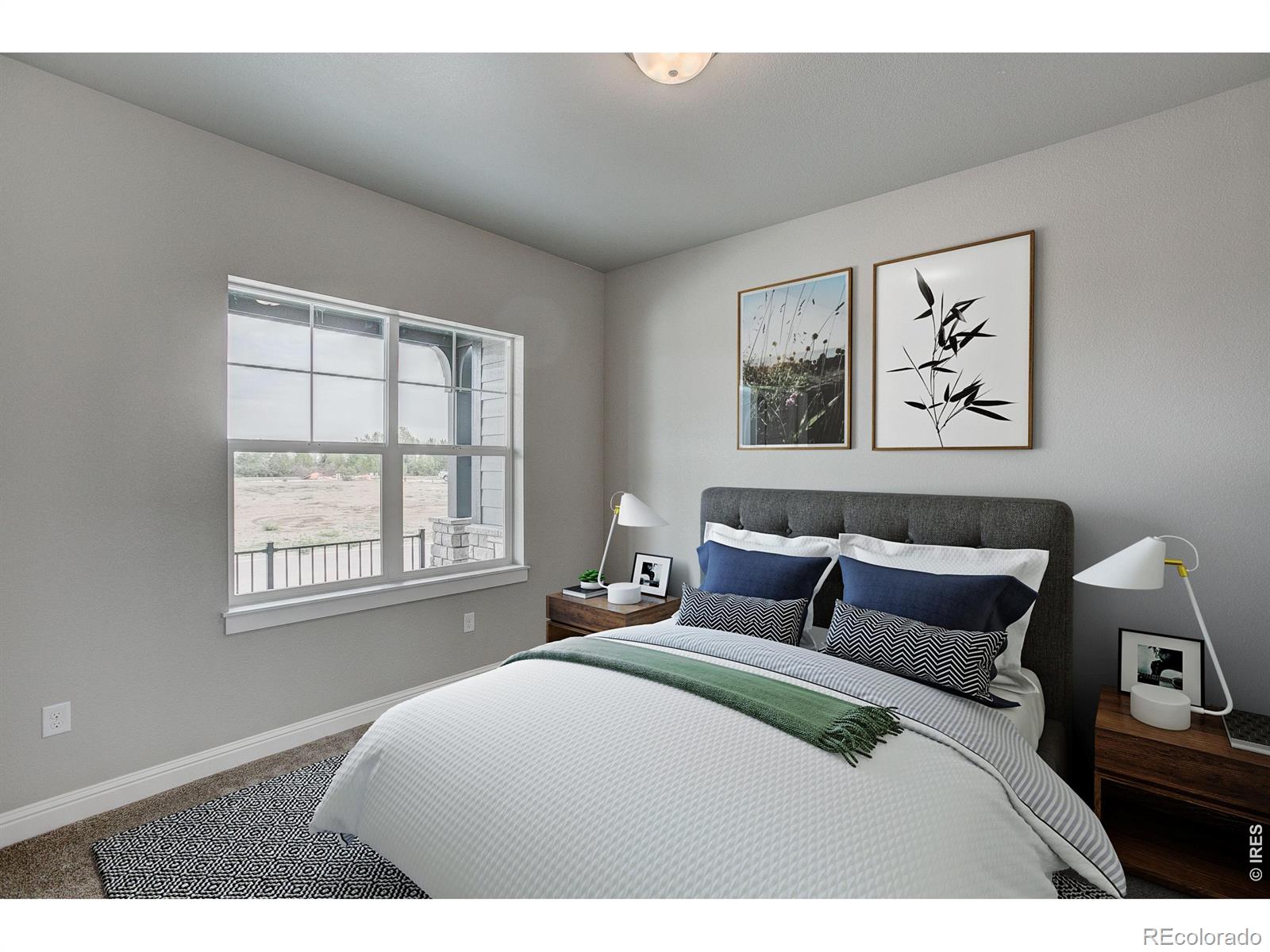 MLS Image #12 for 8452  cromwell drive,windsor, Colorado