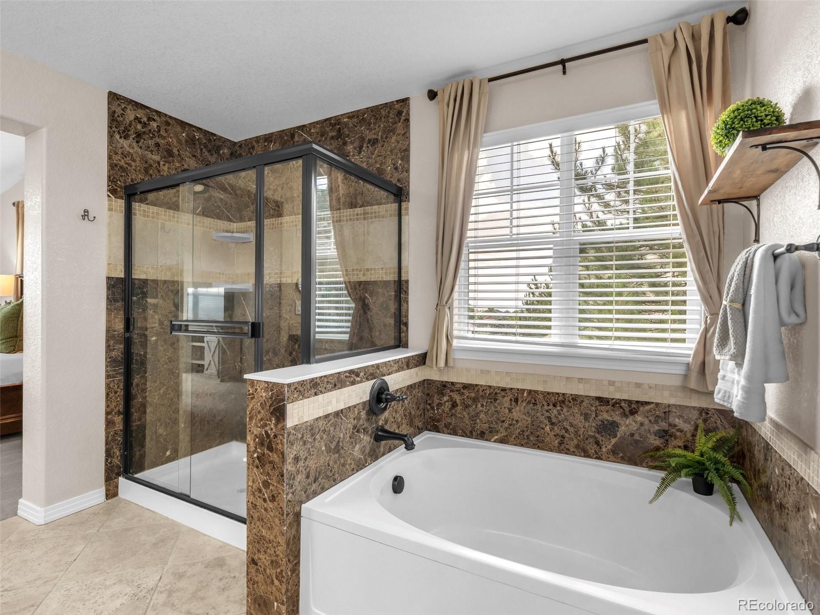 MLS Image #29 for 4664  nutmeg place,castle rock, Colorado