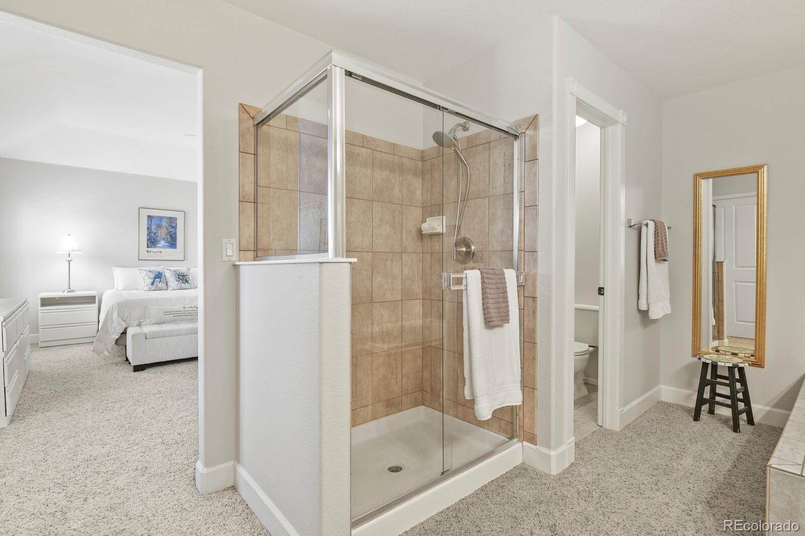 MLS Image #28 for 8980  old tom morris circle,highlands ranch, Colorado