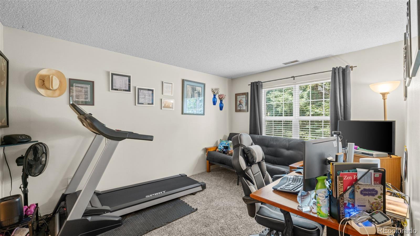 MLS Image #10 for 2338  troy court,colorado springs, Colorado