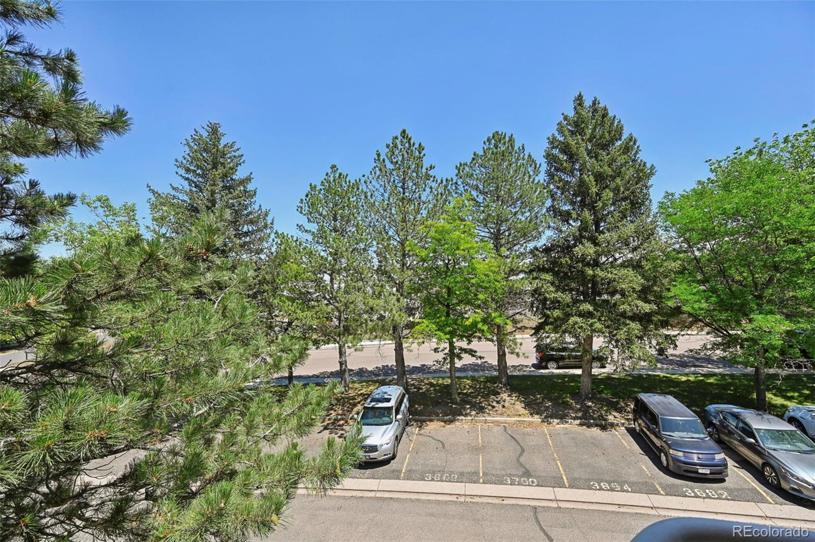 MLS Image #20 for 3684  iguana drive ,colorado springs, Colorado