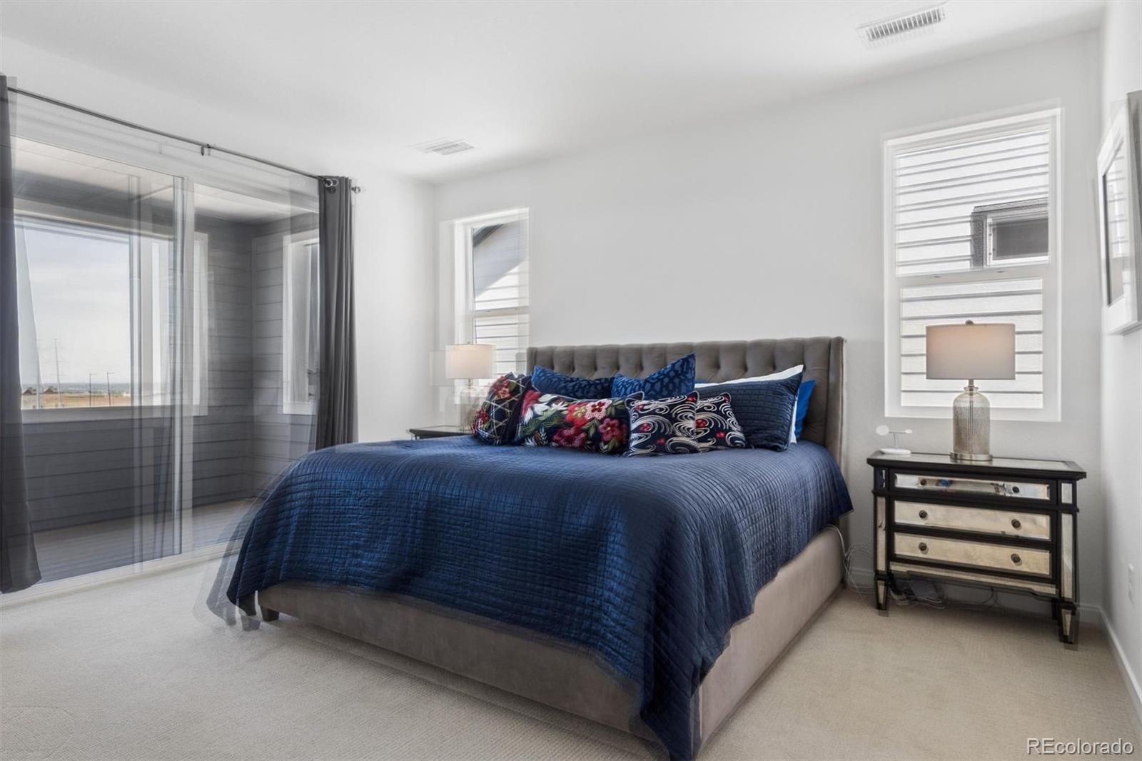 MLS Image #10 for 11988  amplify circle,lone tree, Colorado